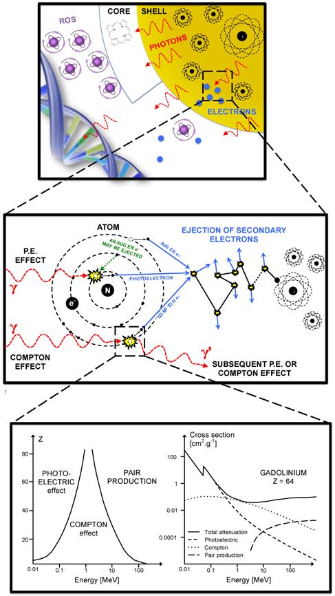 Theranostics Image