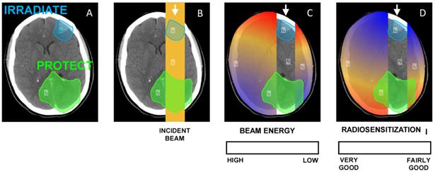 Theranostics Image