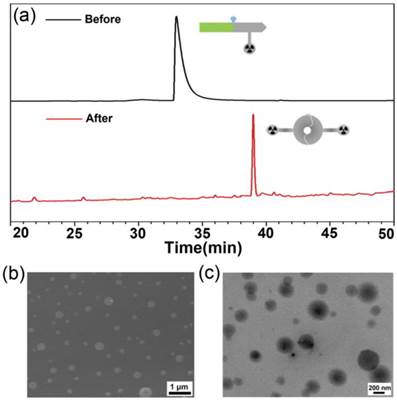 Theranostics Image