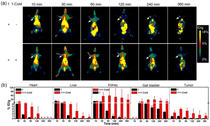 Theranostics Image