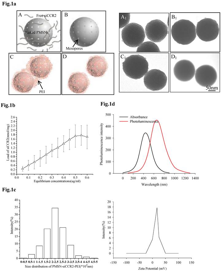 Theranostics Image