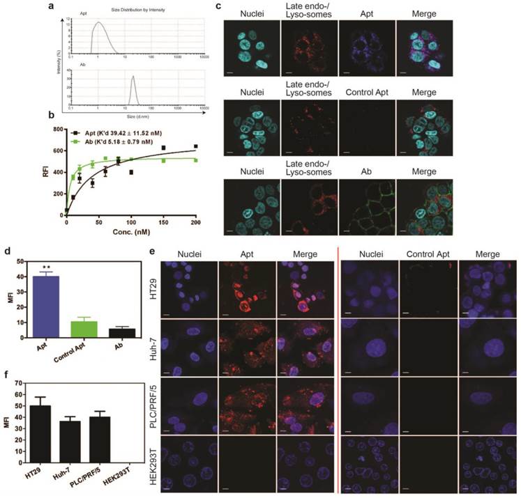 Theranostics Image