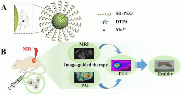 Theranostics Image