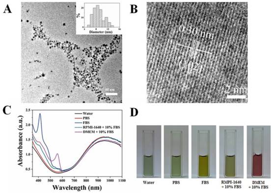 Theranostics Image