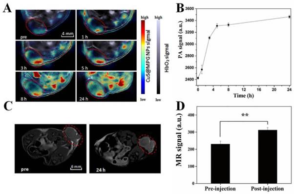 Theranostics Image