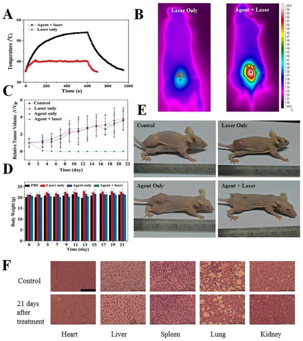 Theranostics Image