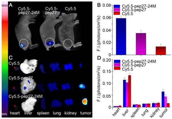 Theranostics Image