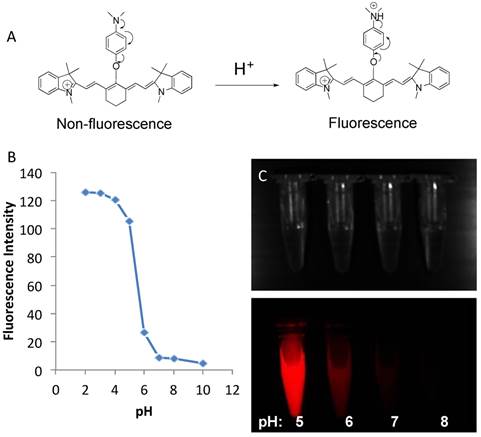 Theranostics Image