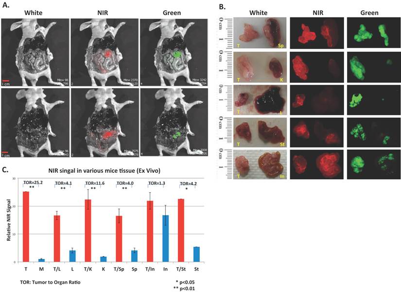 Theranostics Image