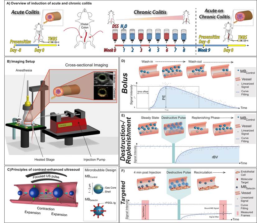 Theranostics Image