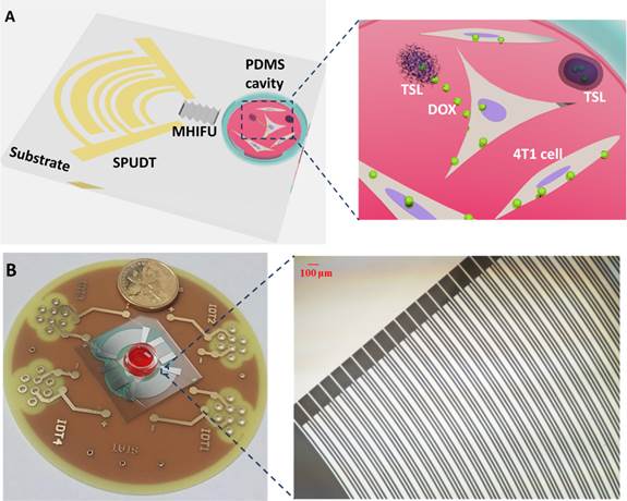 Theranostics Image