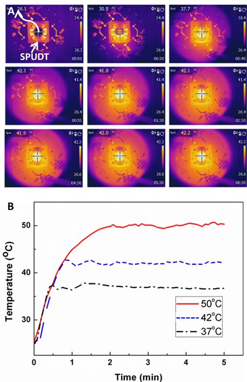 Theranostics Image