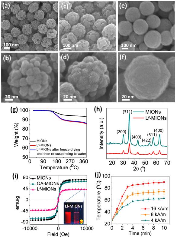 Theranostics Image