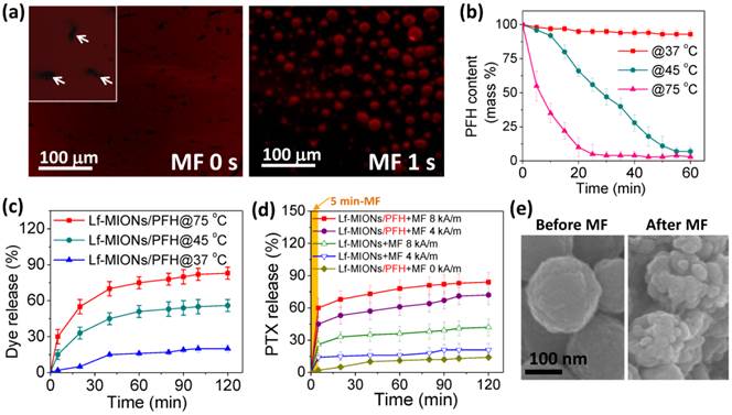 Theranostics Image