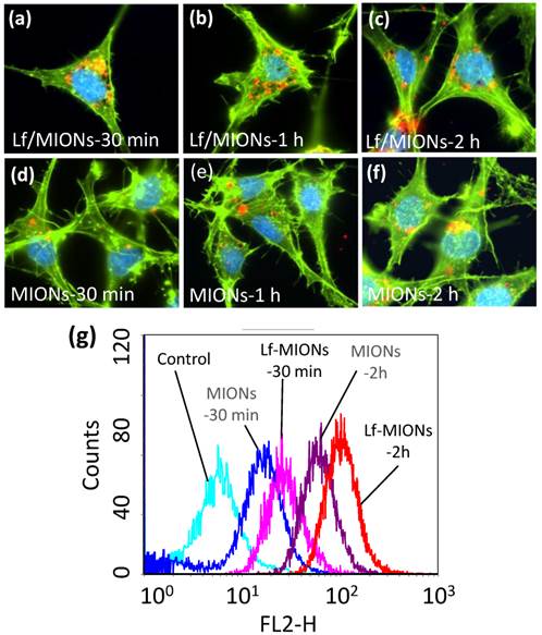 Theranostics Image