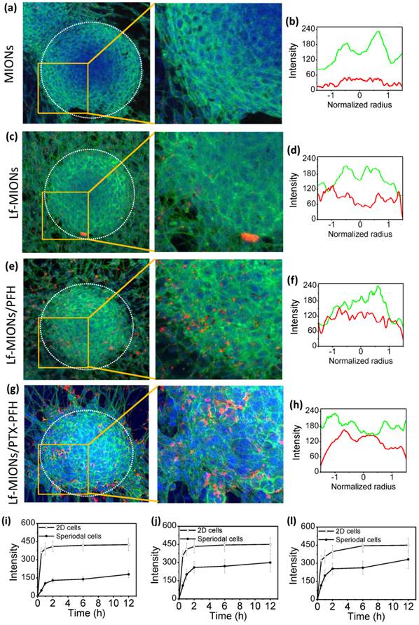 Theranostics Image