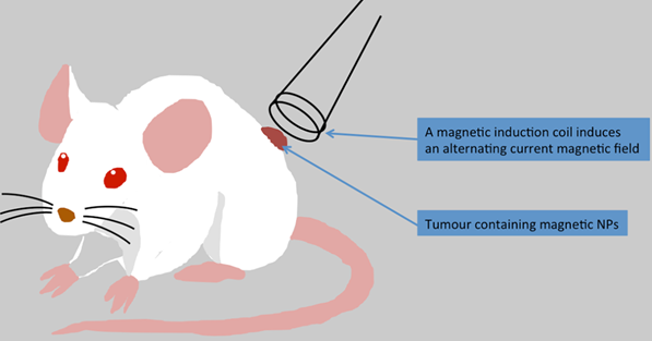 Theranostics Image