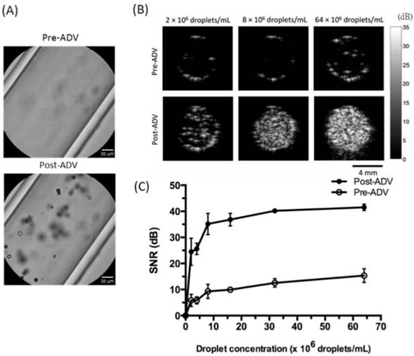 Theranostics Image