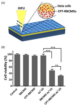 Theranostics Image