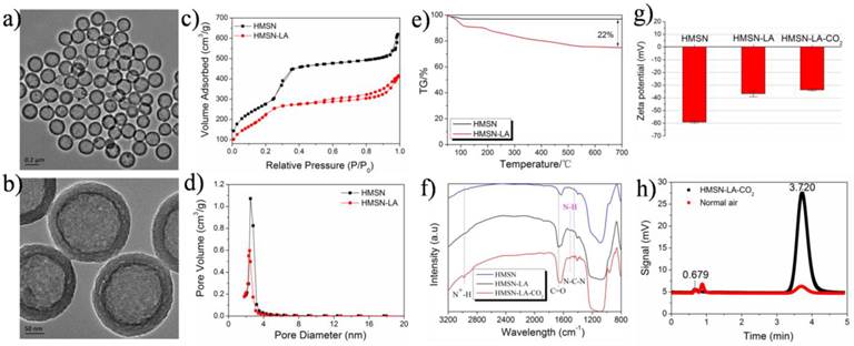 Theranostics Image