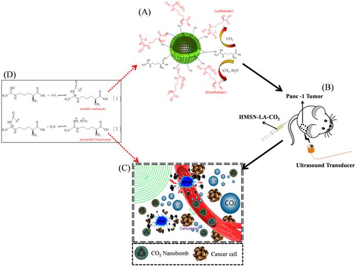 Theranostics Image