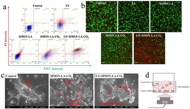 Theranostics Image