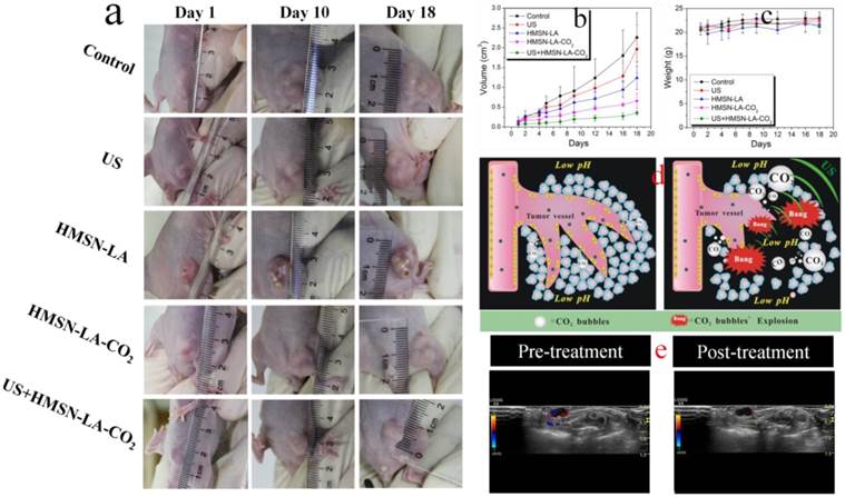 Theranostics Image