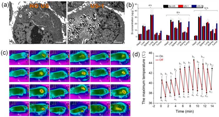 Theranostics Image