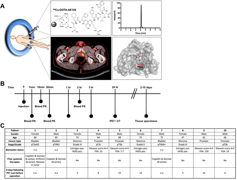 Theranostics Image