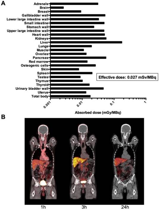 Theranostics Image