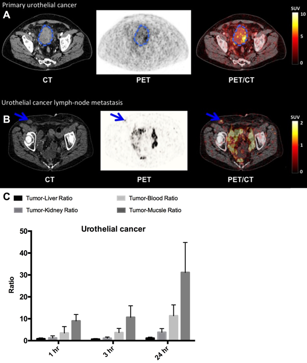 Theranostics Image