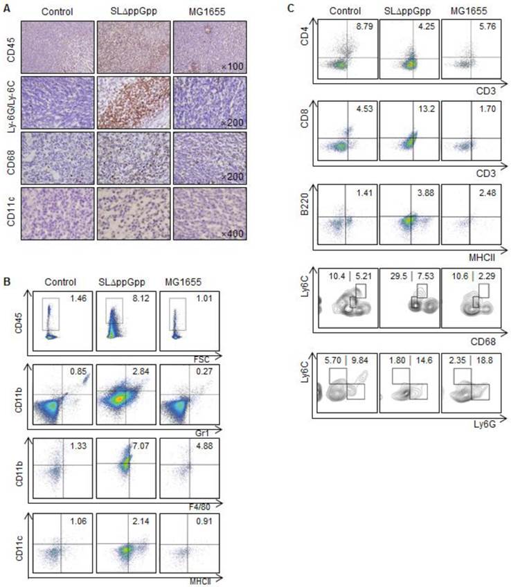 Theranostics Image