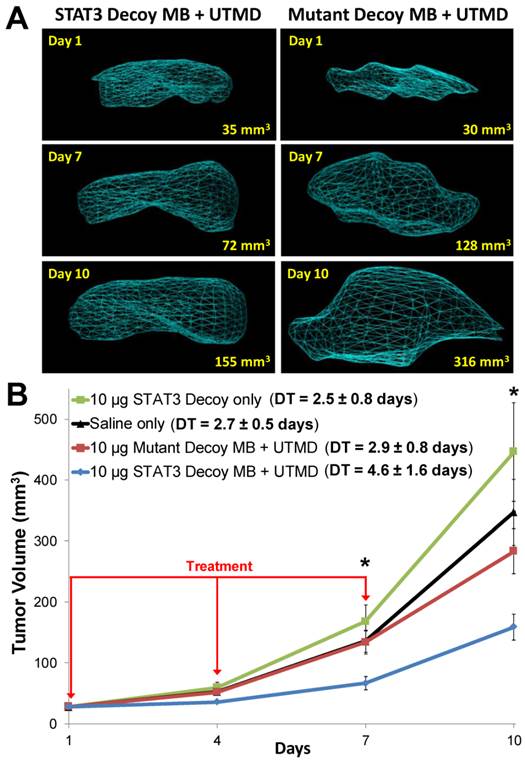 Theranostics Image