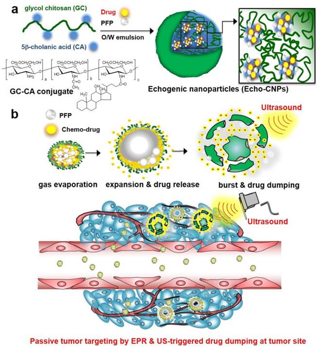 Theranostics Image