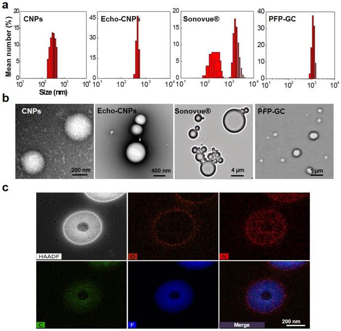 Theranostics Image