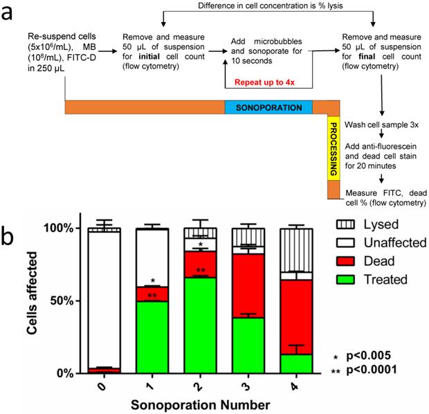 Theranostics Image