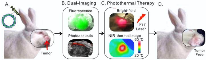 Theranostics Image