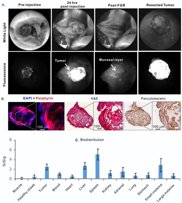 Theranostics Image