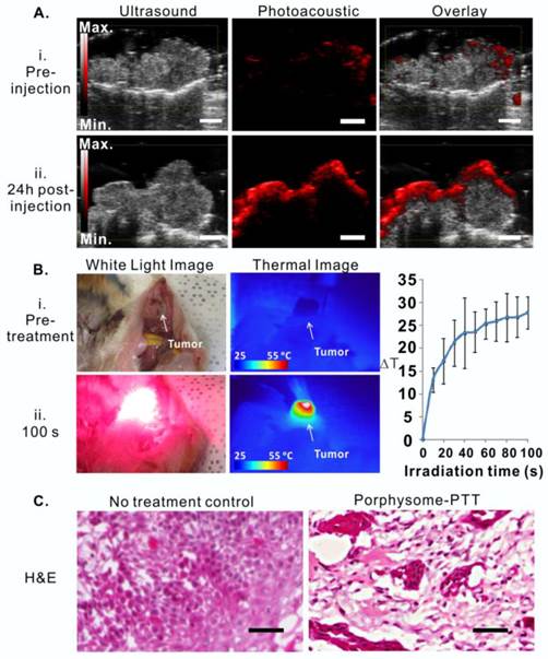 Theranostics Image