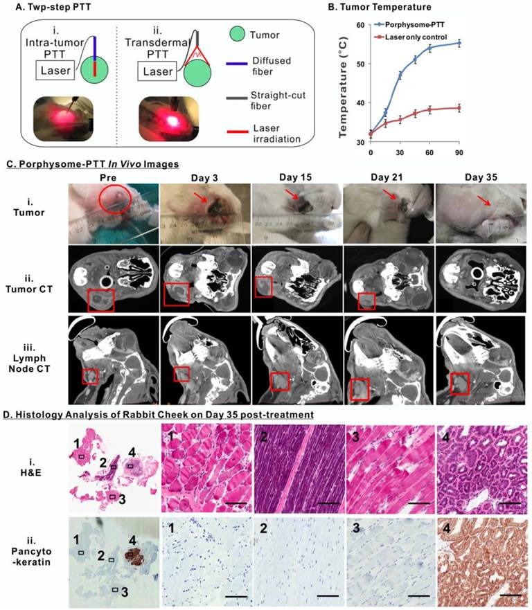 Theranostics Image