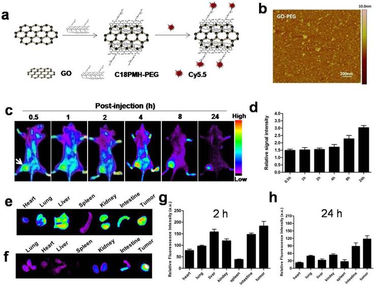 Theranostics Image