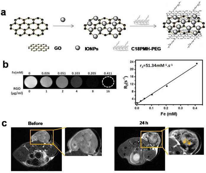 Theranostics Image