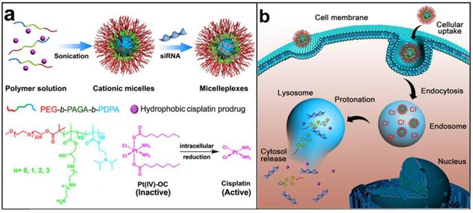 Theranostics Image