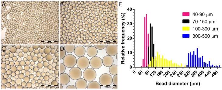 Theranostics Image