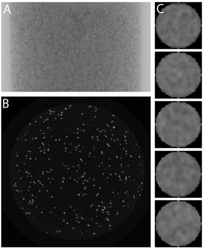 Theranostics Image