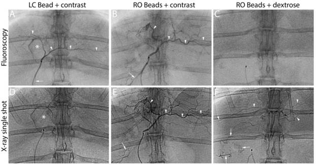 Theranostics Image