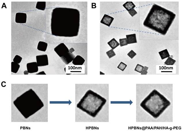 Theranostics Image