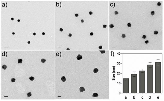 Theranostics Image