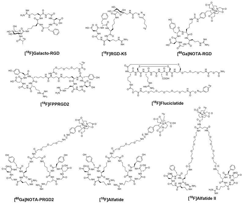 Theranostics Image