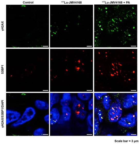 Theranostics Image